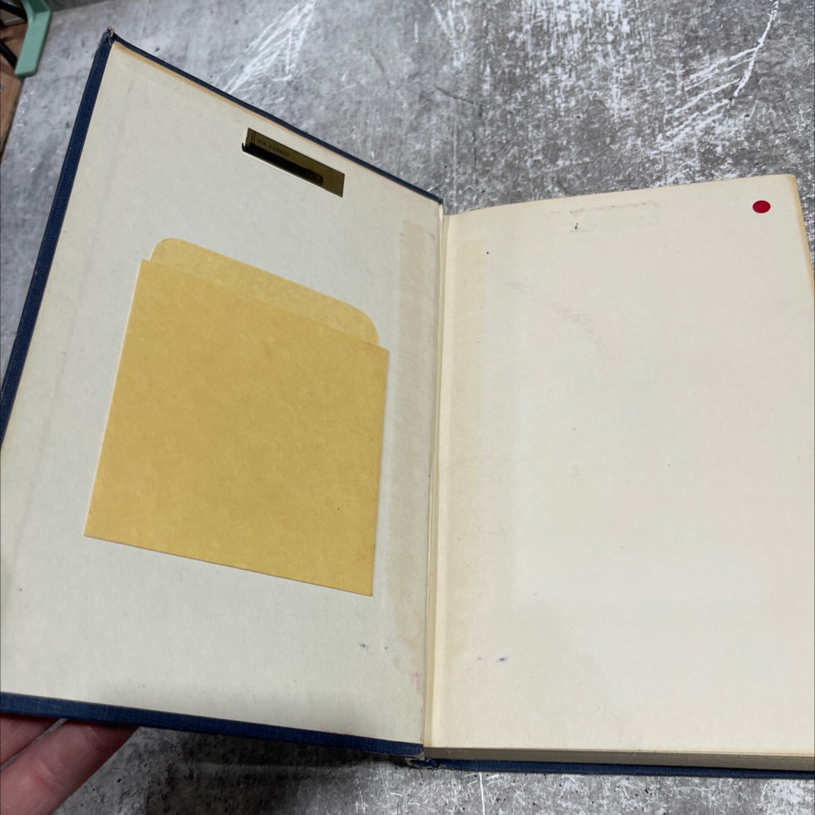 life in the son book, by robert shank, 1961 Hardcover image 4