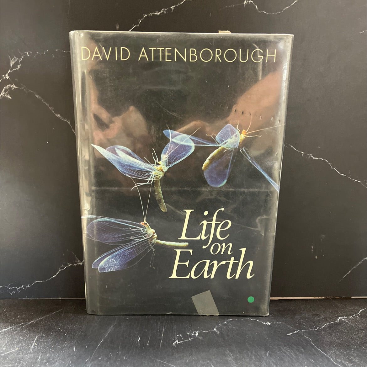 life on earth a natural history book, by david attenborough, 1979 Hardcover image 1