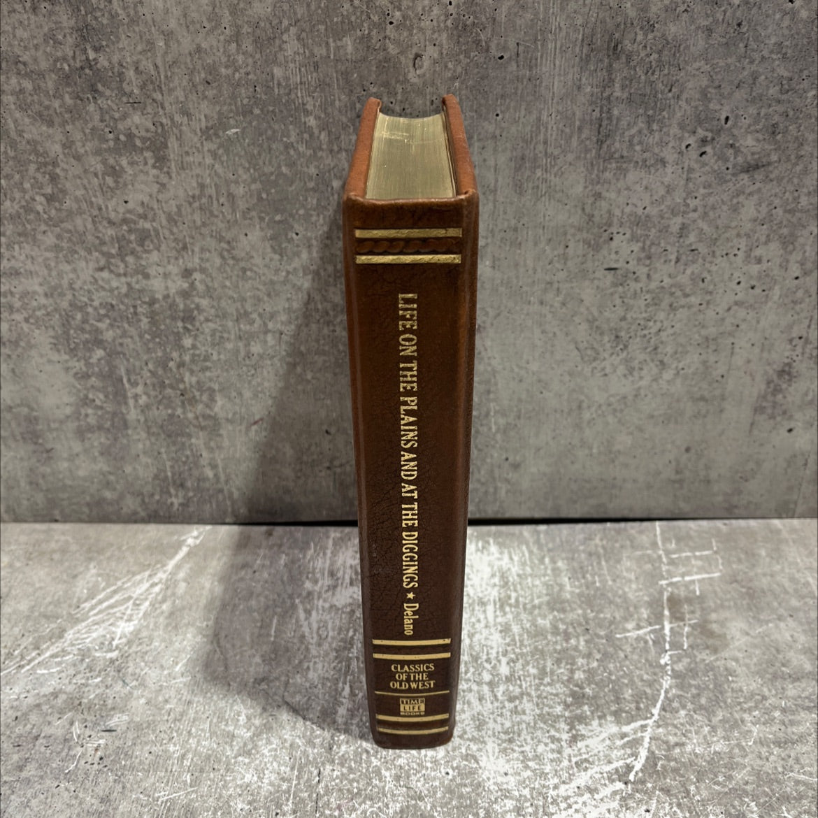 life on the plains and among the diggings; being scenes and adventures of an overland journey to california: with image 4