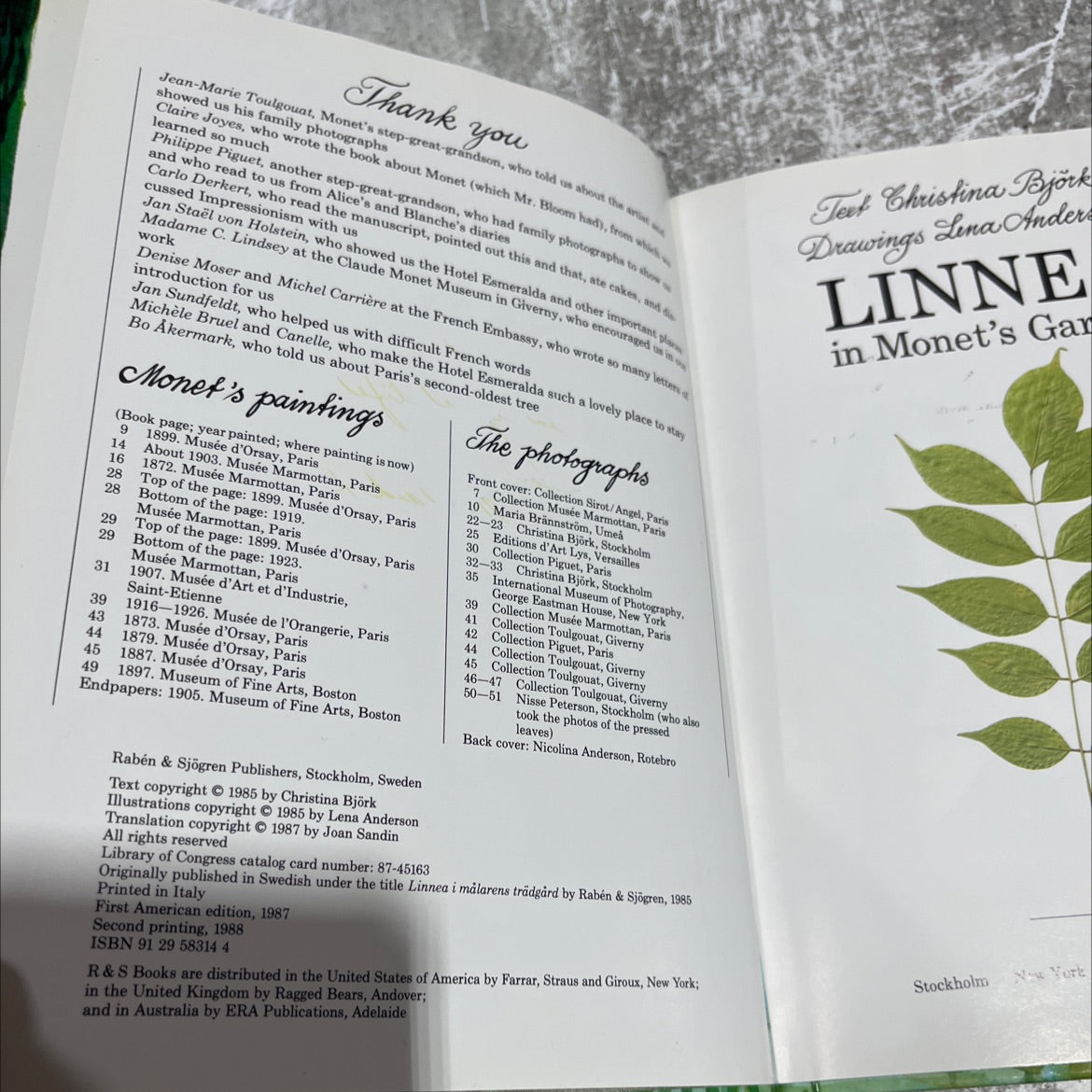 linnea in monet's garden book, by christina björk, 1987 Hardcover image 3