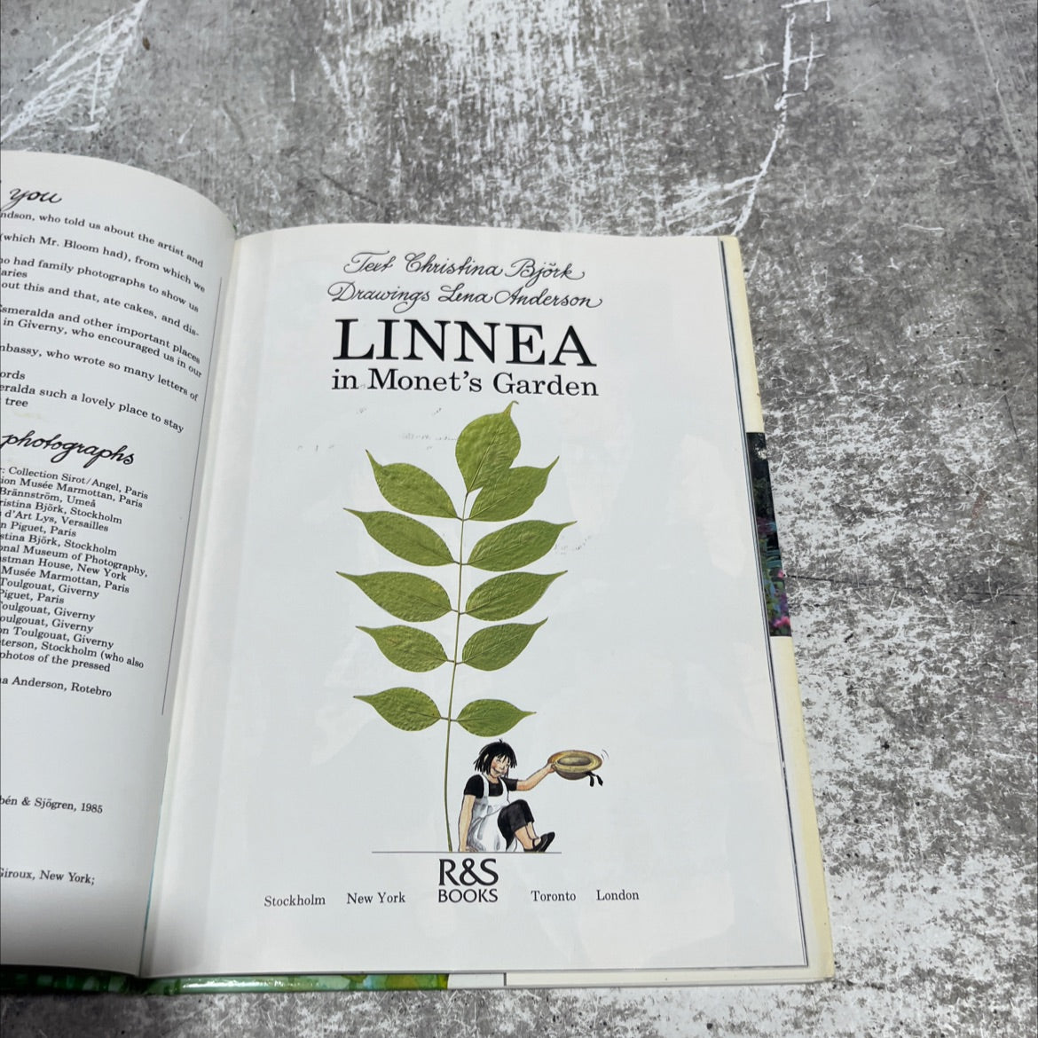 linnea in monet's garden book, by christina björk, 1987 Hardcover image 2