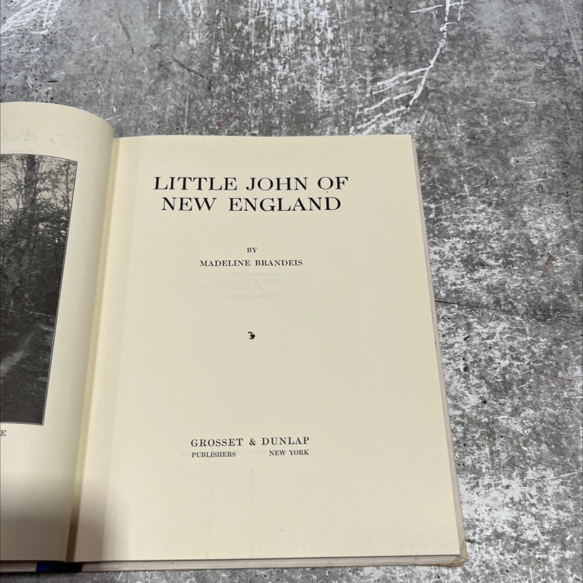 little john of new england book, by madeline brandeis, 1936 Hardcover image 2