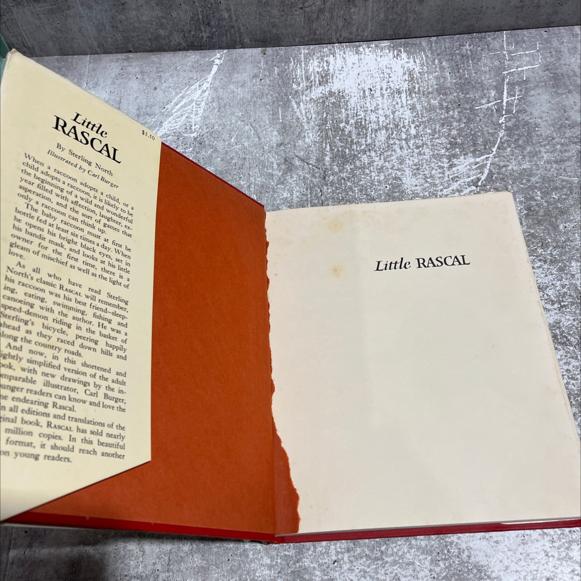 little rascal book, by sterling north, 1965 Hardcover image 4