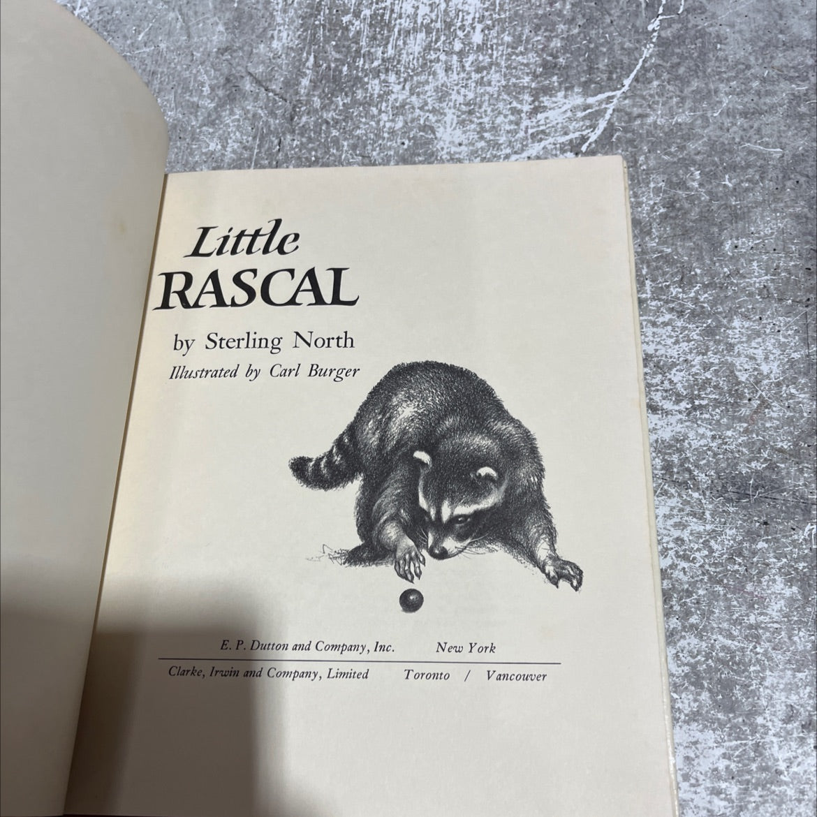 little rascal book, by sterling north, 1965 Hardcover image 2