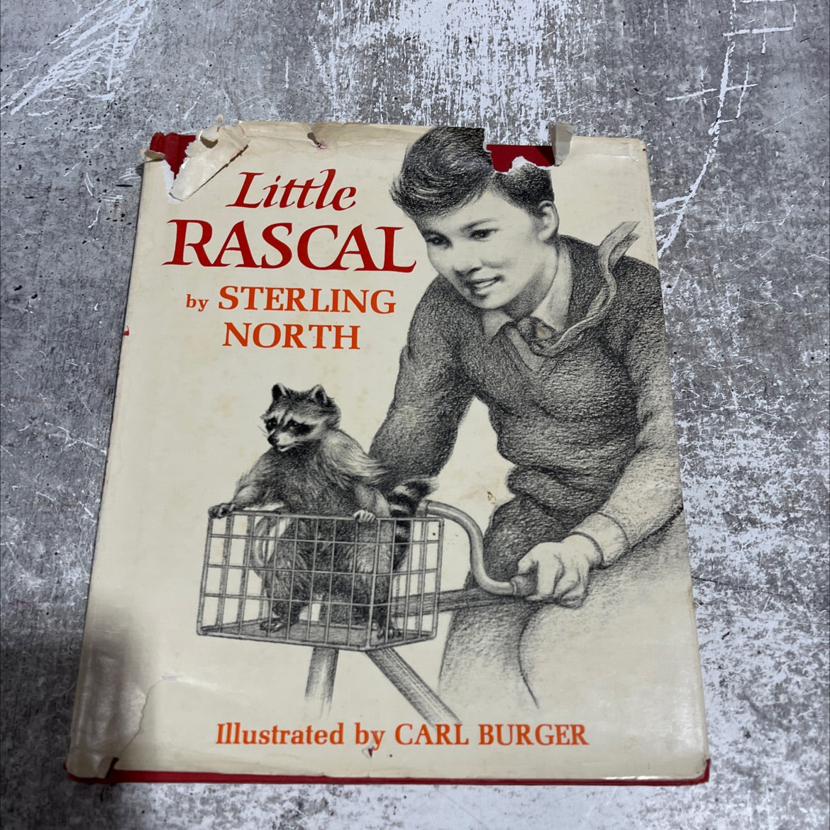 little rascal book, by sterling north, 1965 Hardcover image 1
