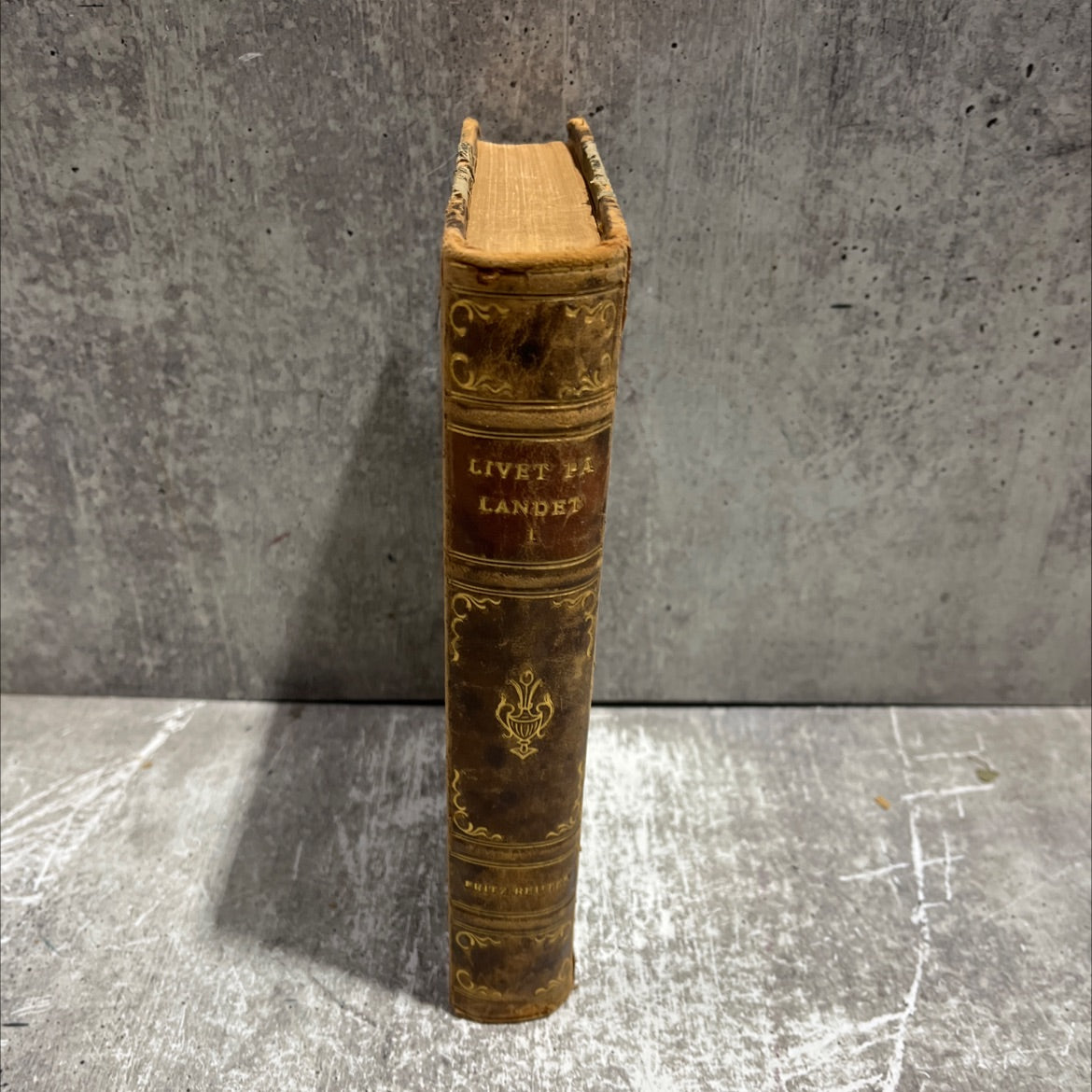 livet på landet book, by fritz reuter, 1927 Leather image 4