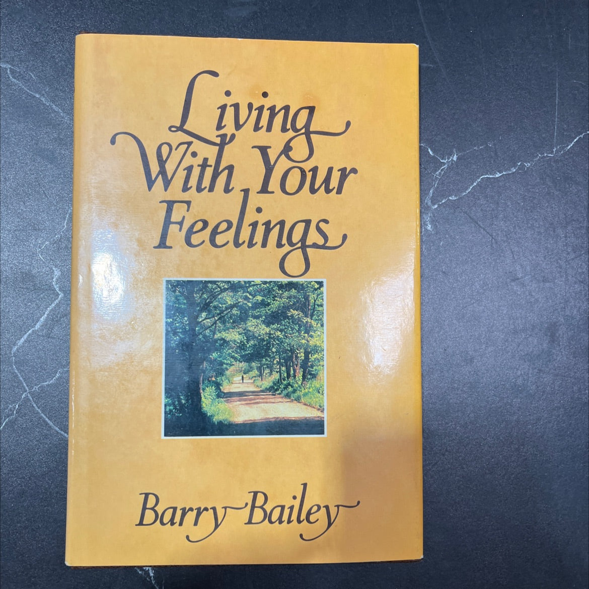 living with your feelings book, by barry bailey, 1980 Hardcover, Vintage image 1