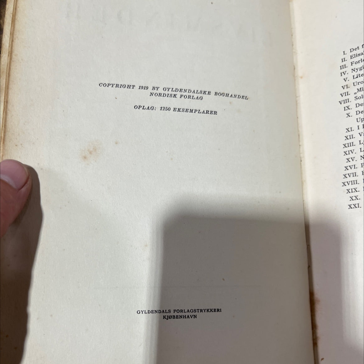 livsminder book, by henrik scharling, 1919 Leather image 3