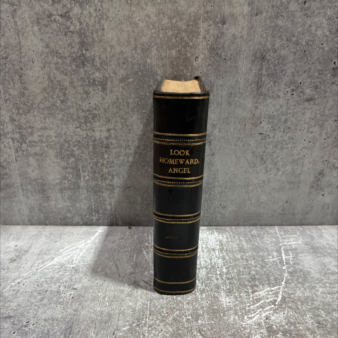 look homeward, angel a story of the buried life book, by thomas wolfe, 1929 Leather image 4