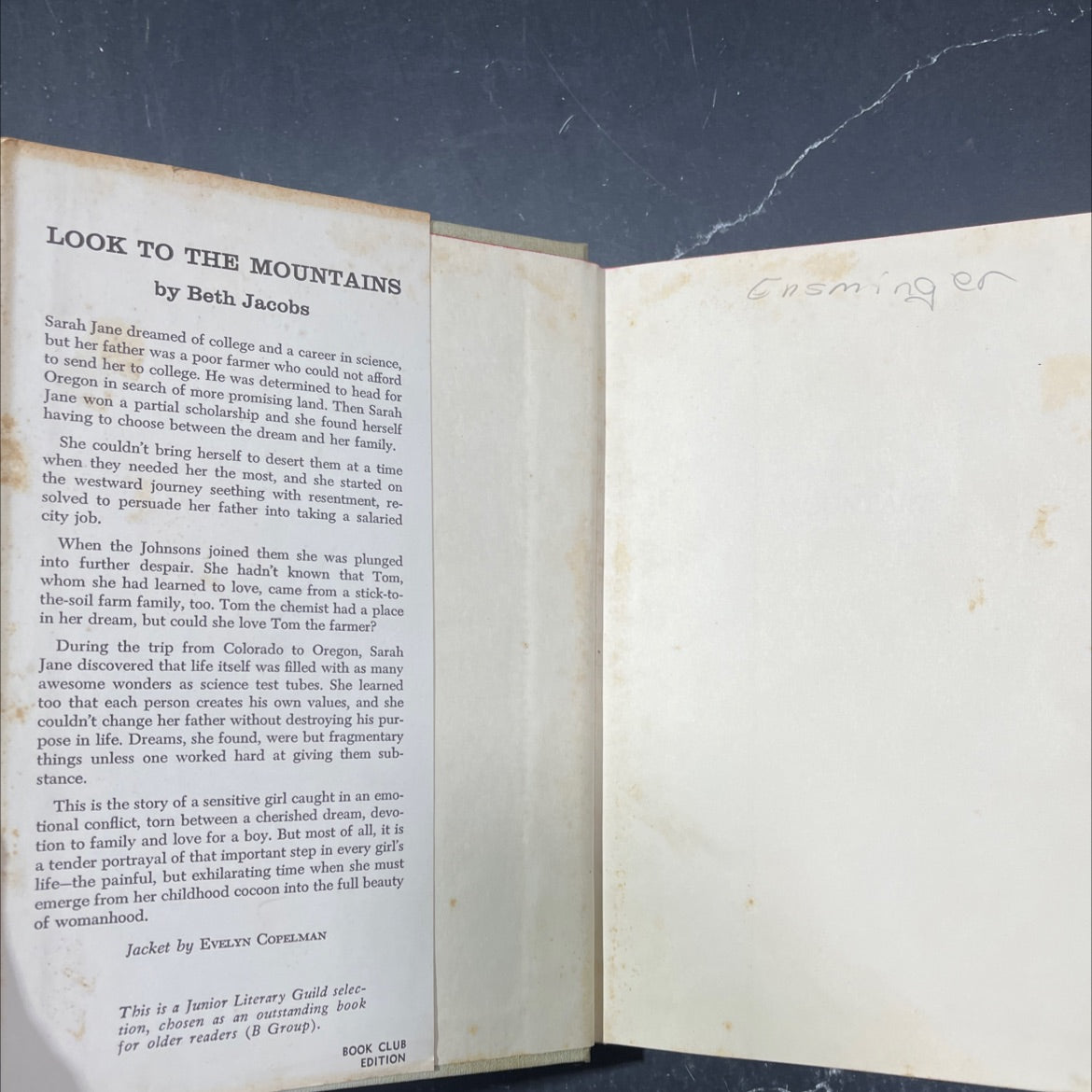look to the mountains book, by beth jacobs, 1963 Hardcover image 4