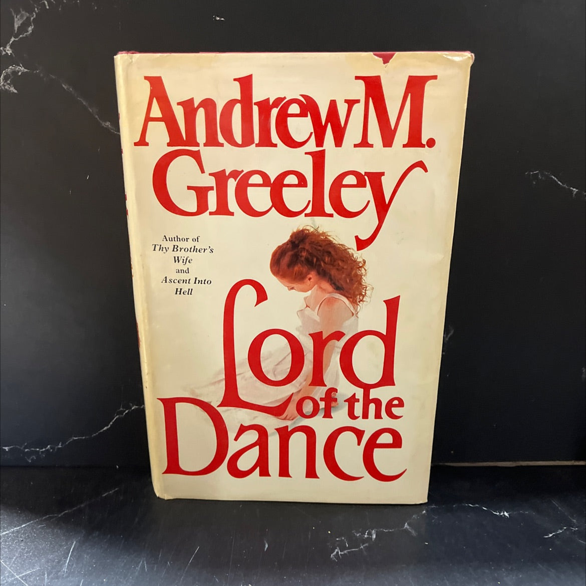 lord of the dance book, by andrew m. greeley, 1984 Hardcover image 1