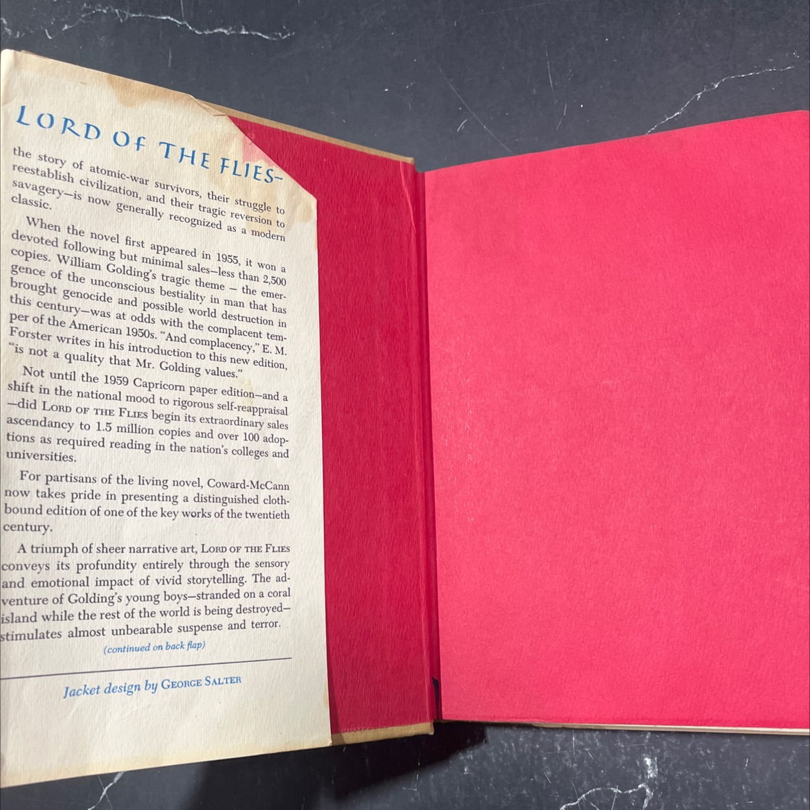 lord of the flies book, by william golding, 1971 Hardcover image 4