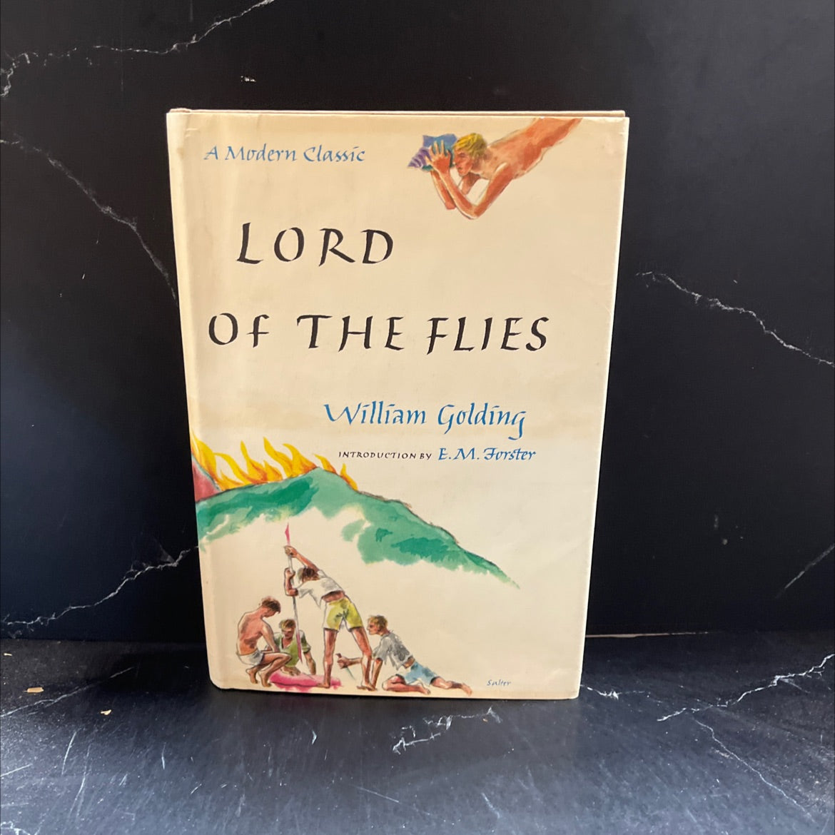 lord of the flies book, by william golding, 1971 Hardcover image 1