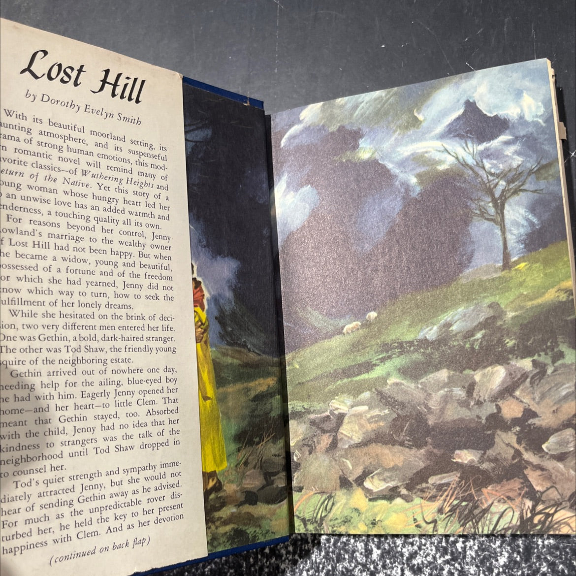 lost hill book, by dorothy evelyn smith, 1952 Hardcover image 4
