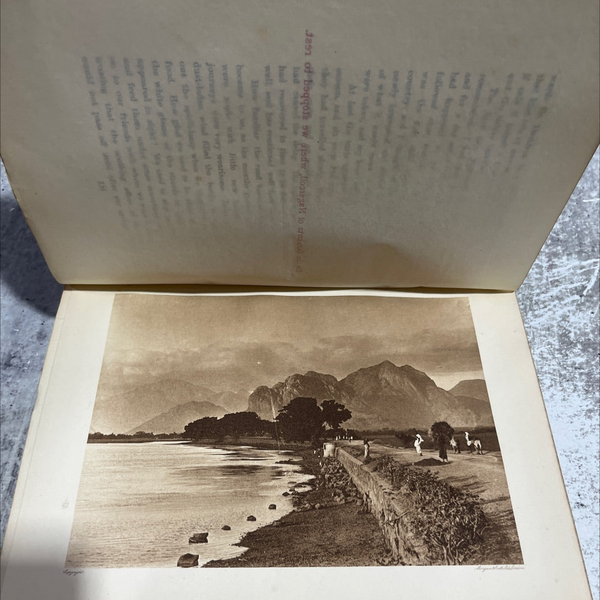 lotus buds book, by amy wilson-carmichael, 1909 Hardcover image 4