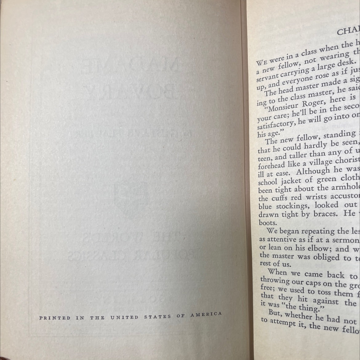 madame bovary book, by gustave flaubert, 1970 Hardcover image 3