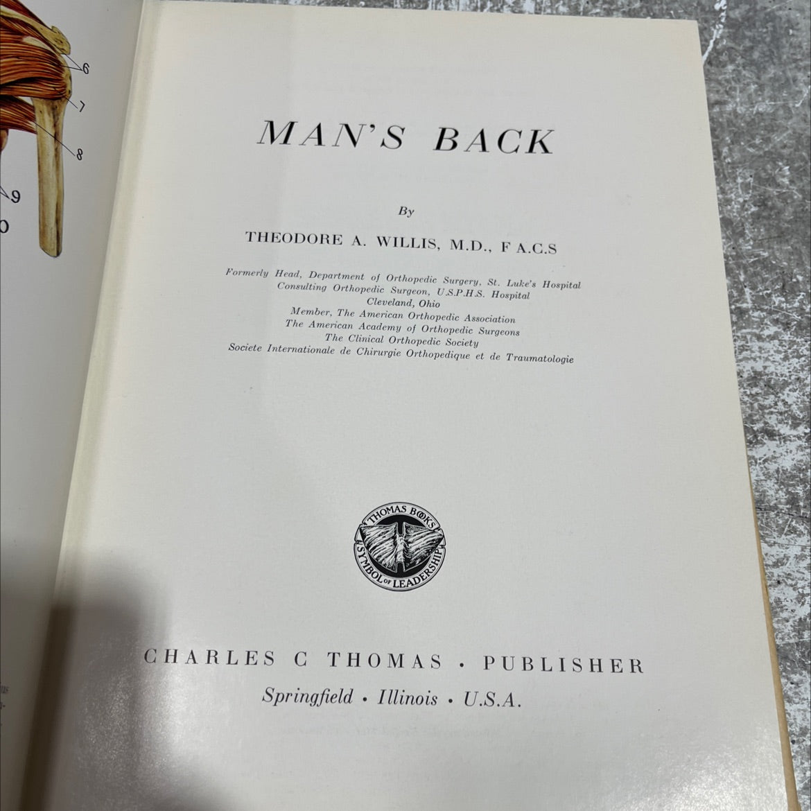 man's back book, by theodore a. willis, m.d., fa.c.s, 1958 Hardcover image 2