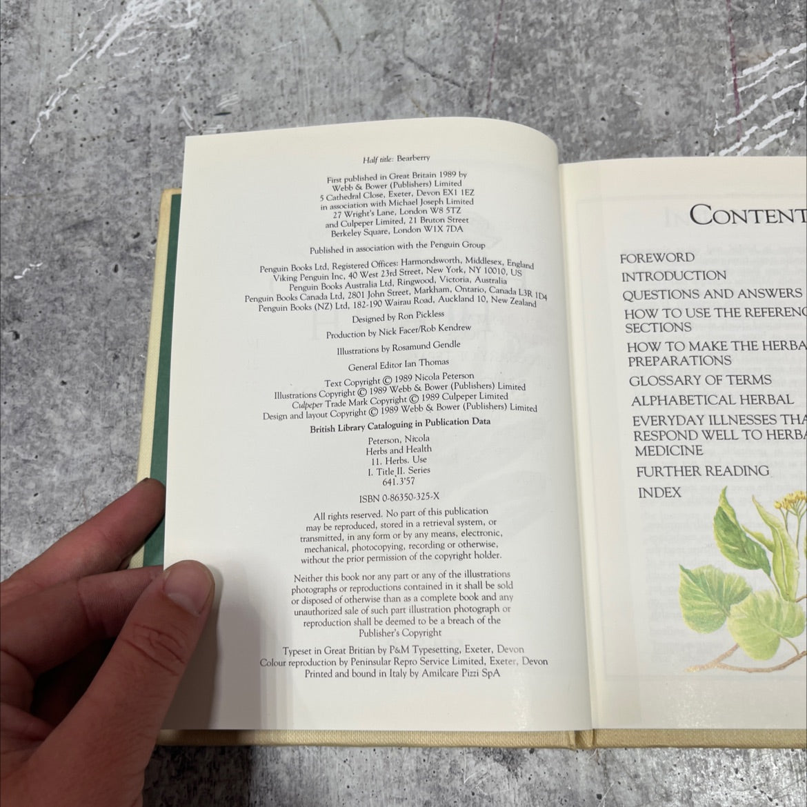marigold introduction guides herbs and health book, by nicola peterson, 1989 Hardcover image 3