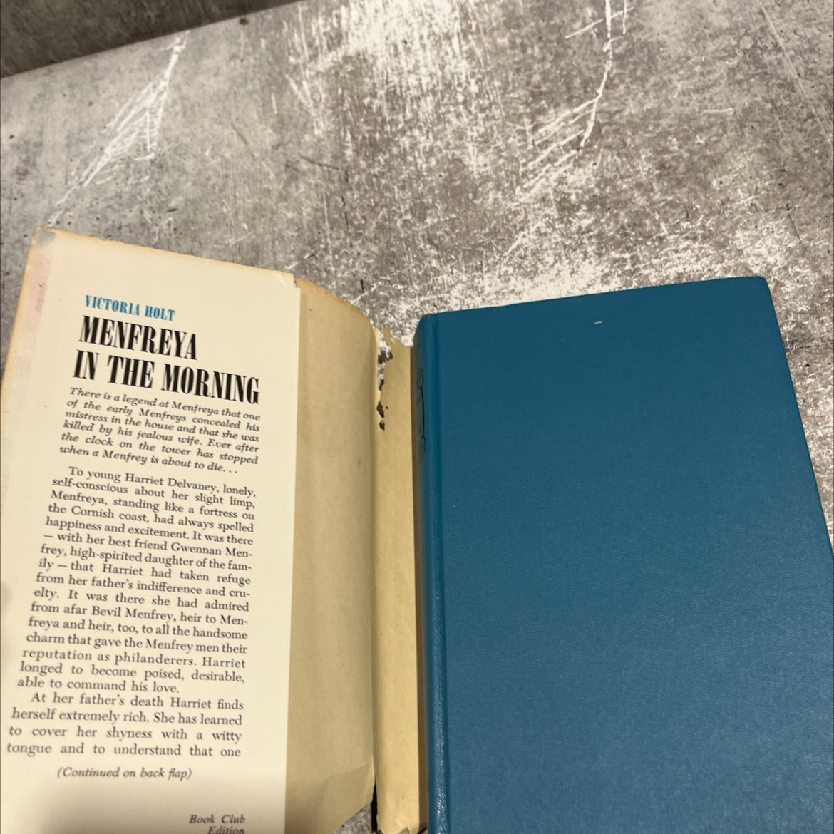 mc csal menfreya in the morning book, by victoria holt, 1966 Hardcover image 4