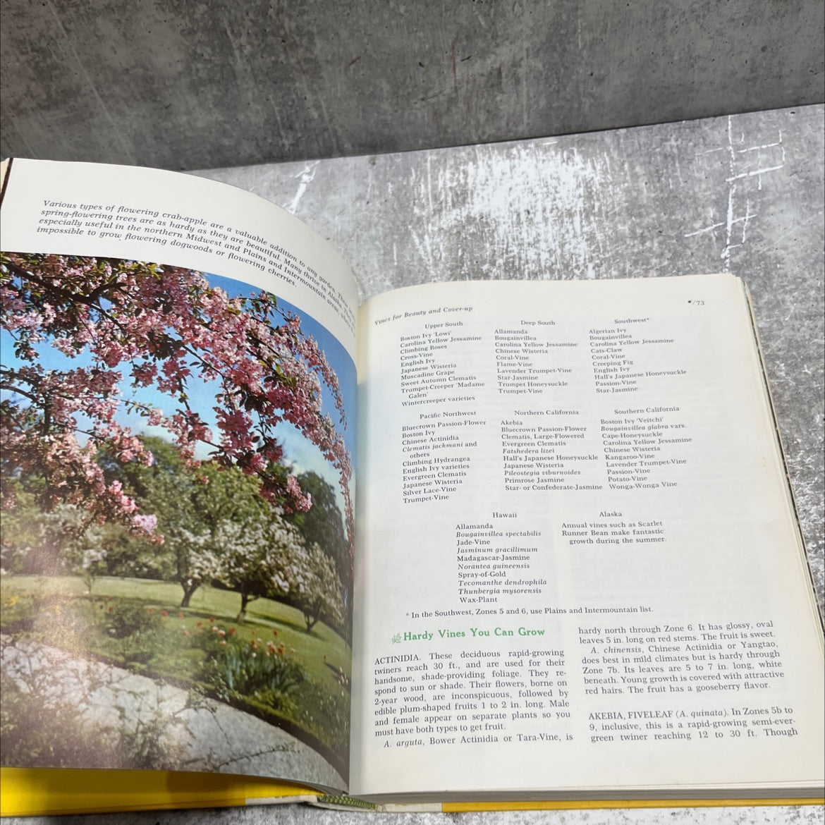 mccall's garden book book, by gretchen fischer harshbarger, 1968 Hardcover image 4