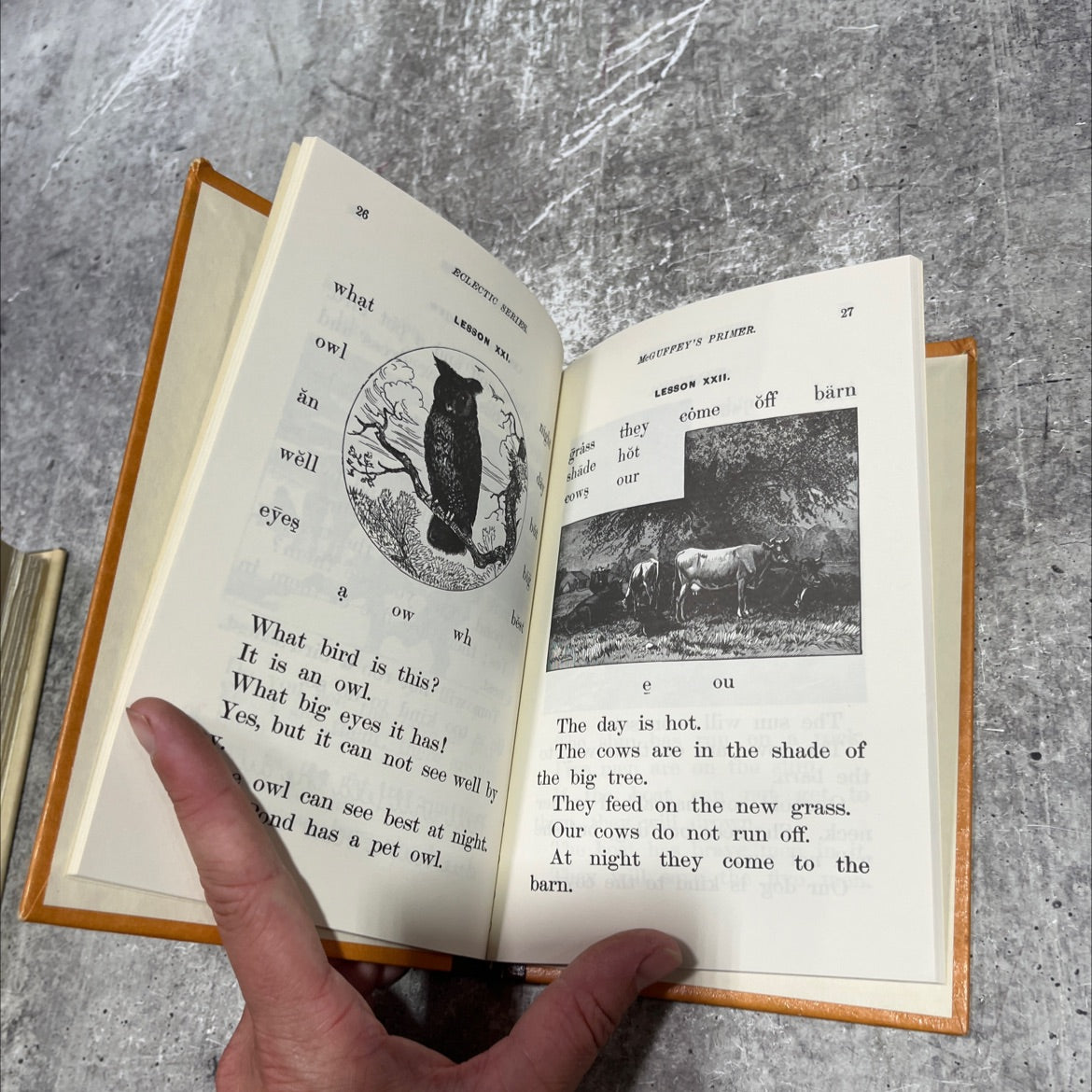 mcguffey's eclectic primer revised edition book, by unknown, 1909 Hardcover image 4