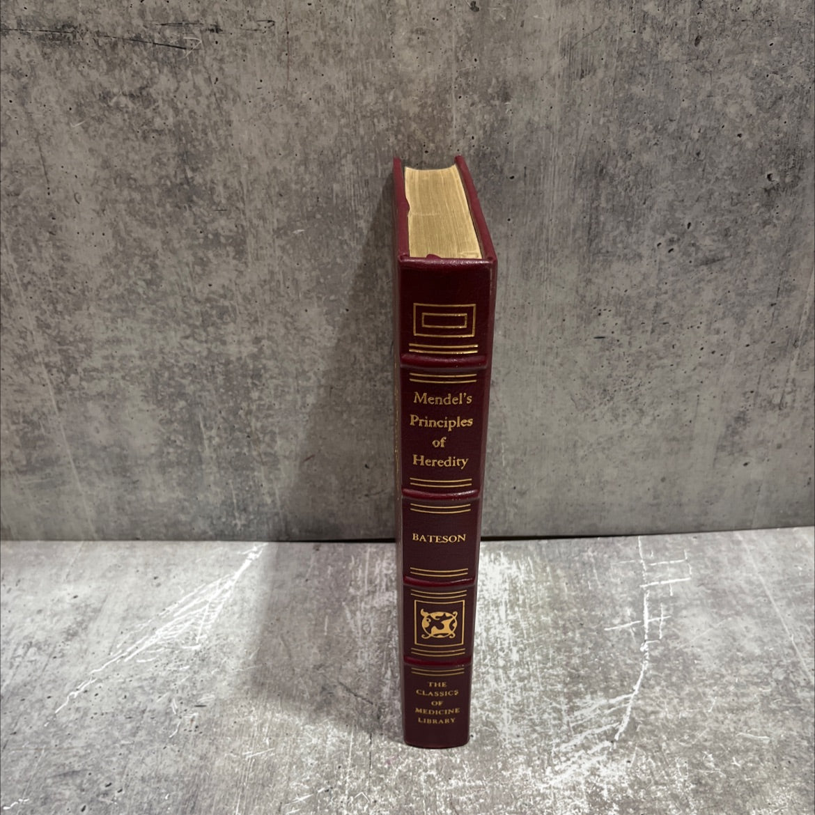 mendel's principles of heredity book, by w. bateson, 1990 Leather image 4