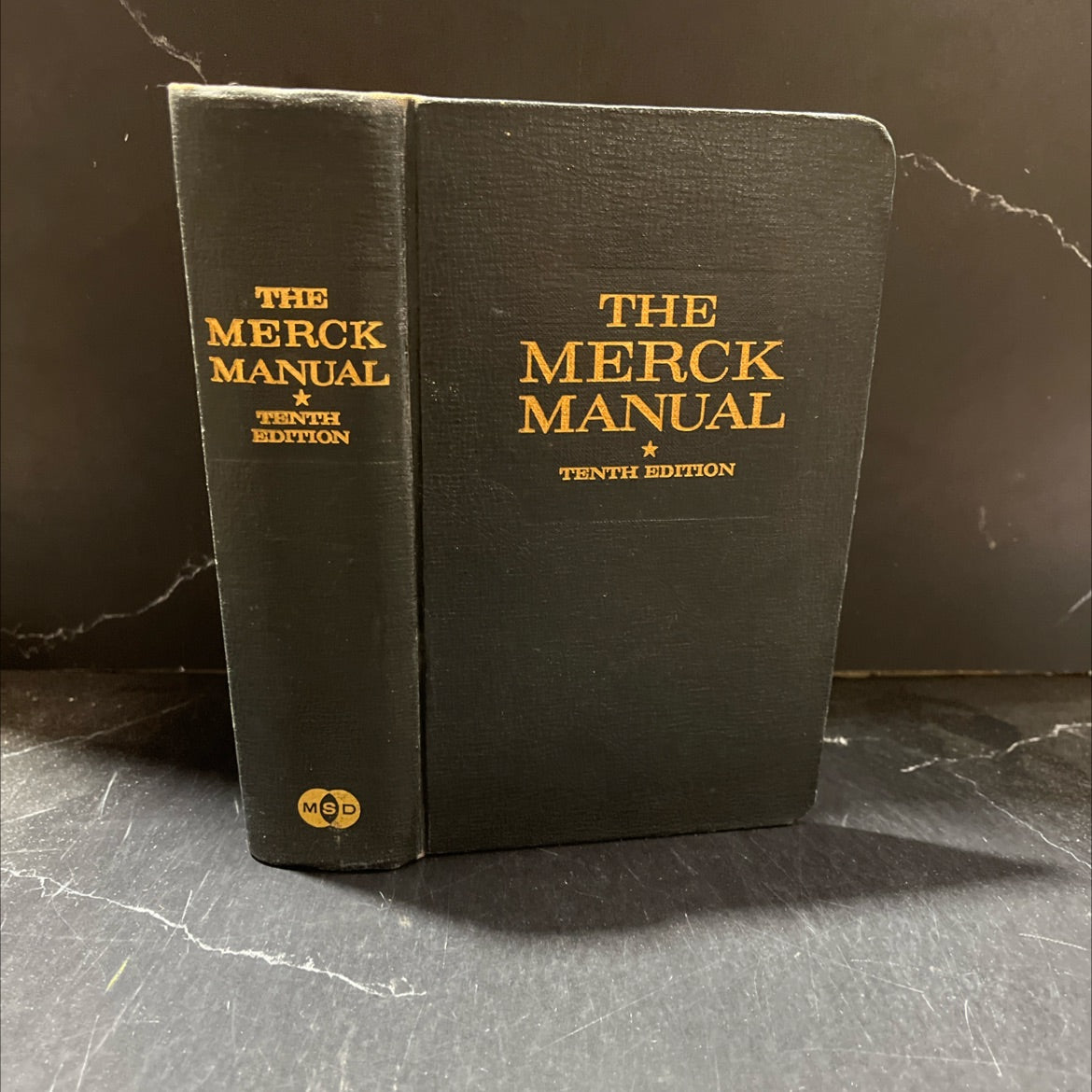 merck manual of diagnosis and therapy book, by charles e. lyght, m.d., 1961 Hardcover image 1