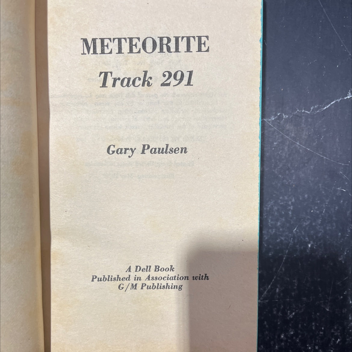 meteorite track 291 book, by Gary Paulsen, 1979 Hardcover image 2