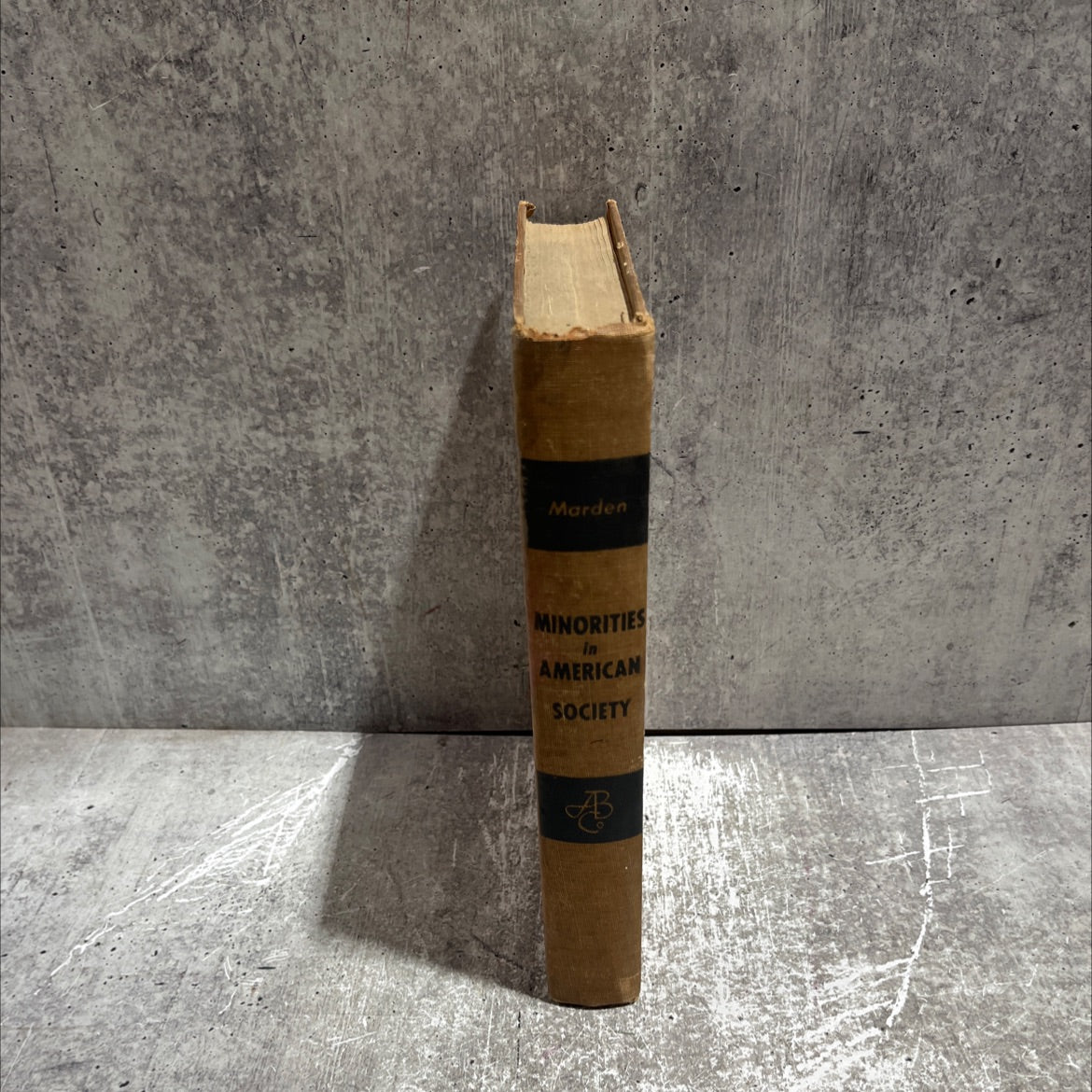 minorities in american society book, by charles f. marden, 1952 Hardcover image 4