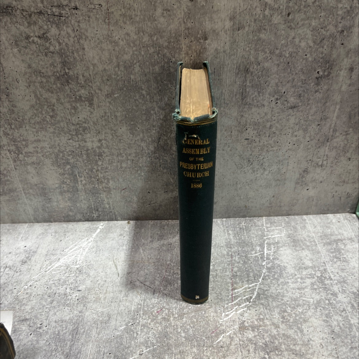 minutes of the general assembly of the presbyterian church in the united states of america: with an appendix. new image 3