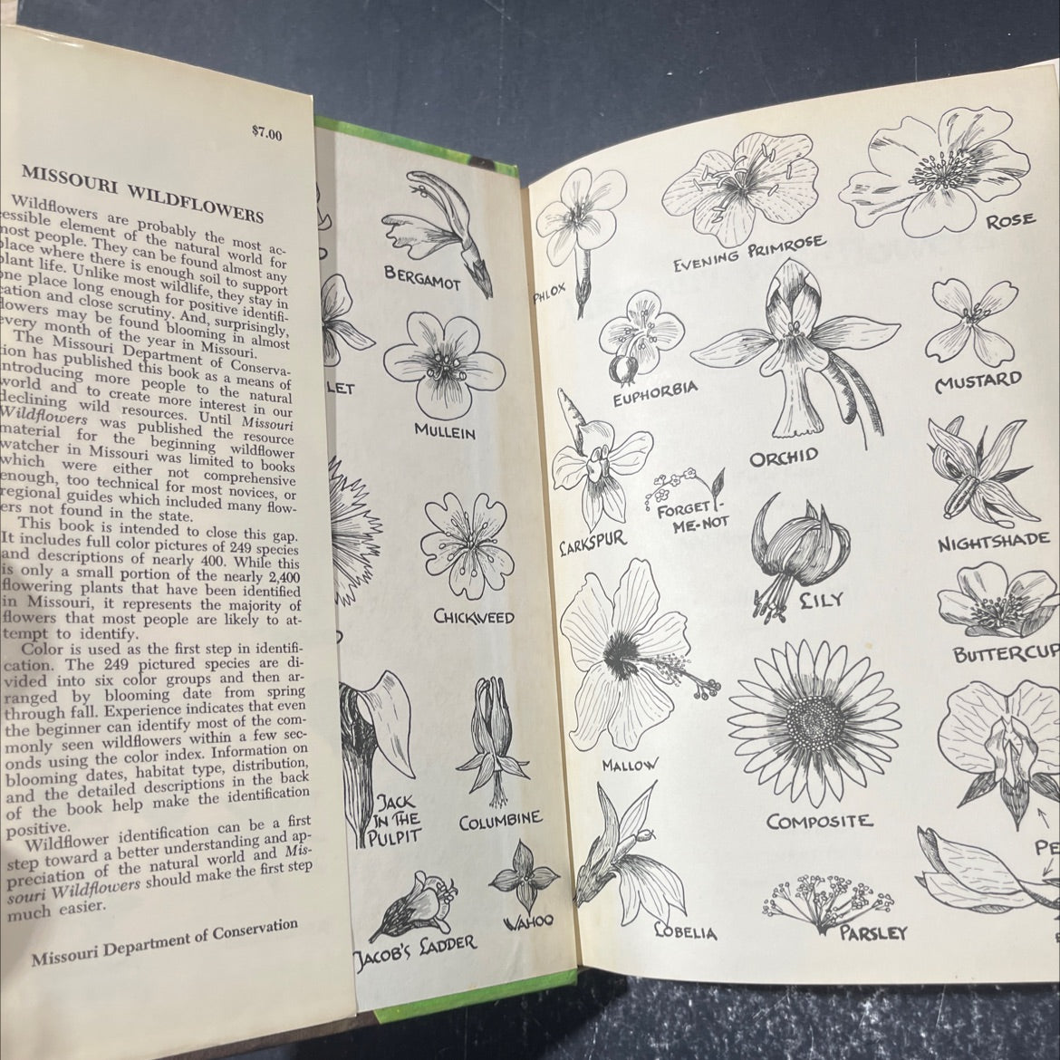 missouri wildflowers book, by edgar denison, 1973 Hardcover image 4