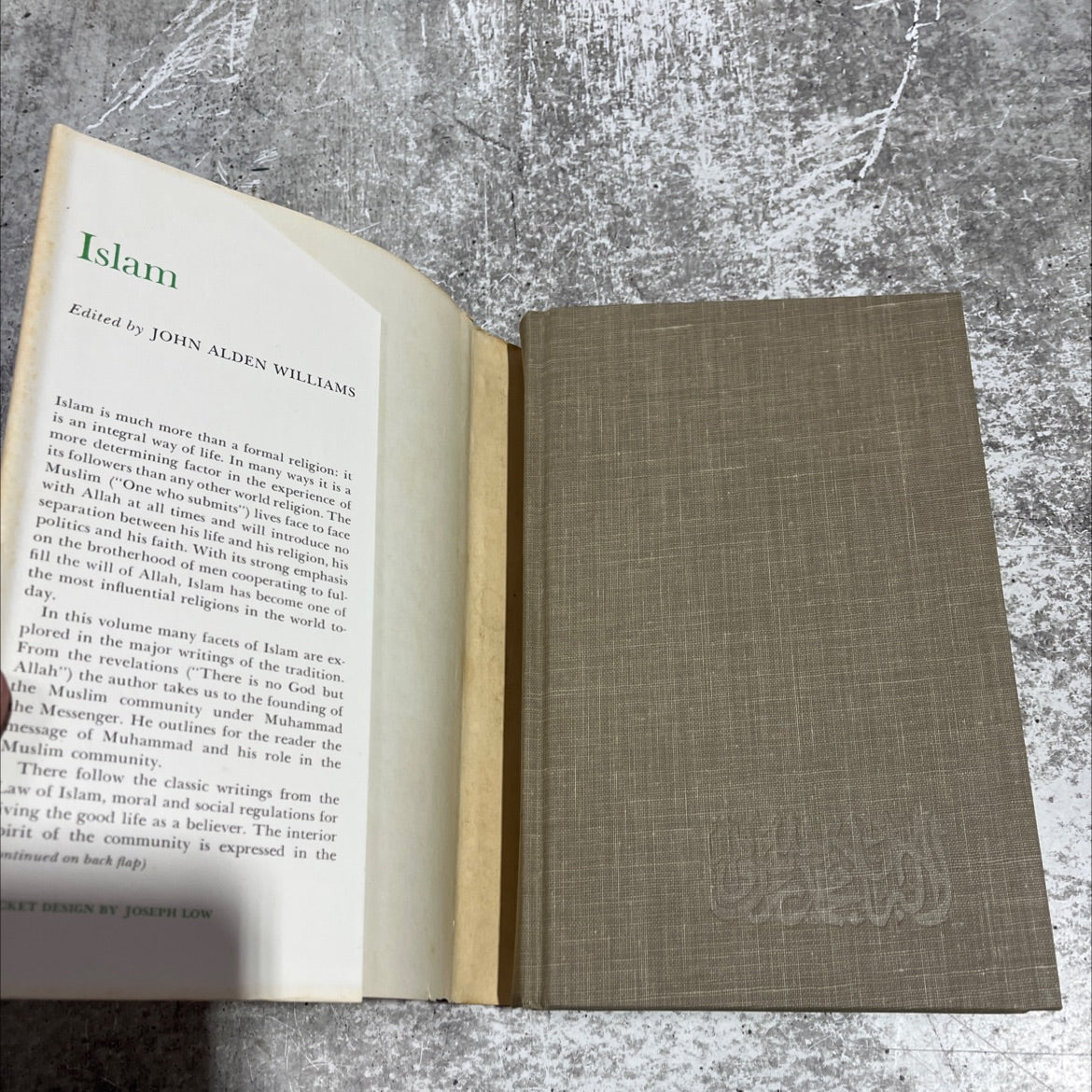 modern islamic thought book, by John Alden Williams, 1962 Hardcover image 4