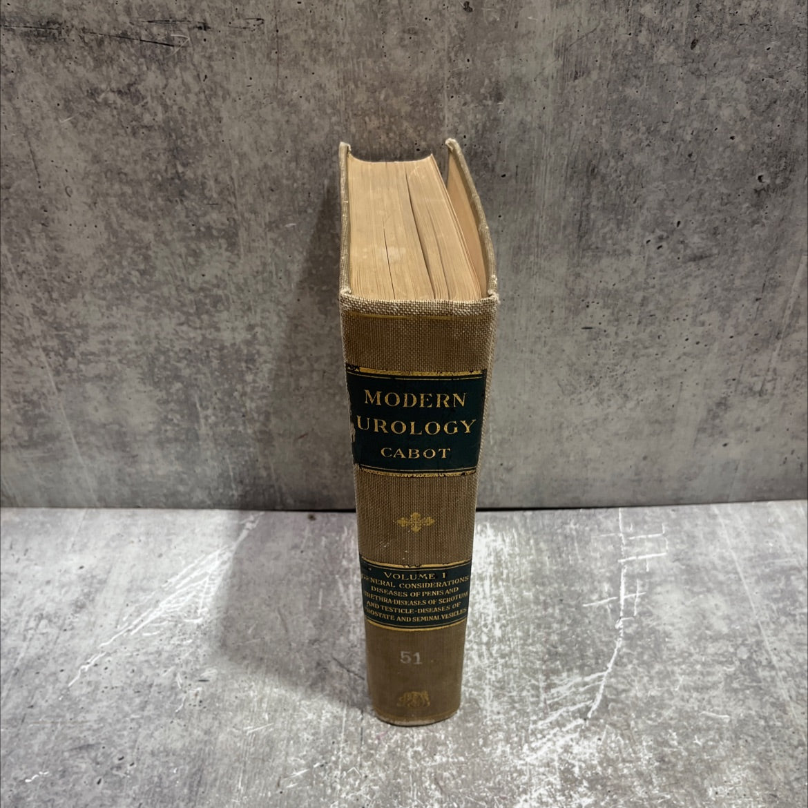 modern urology in original contributions by american authors book, by hugh cabot, 1924 Hardcover image 4