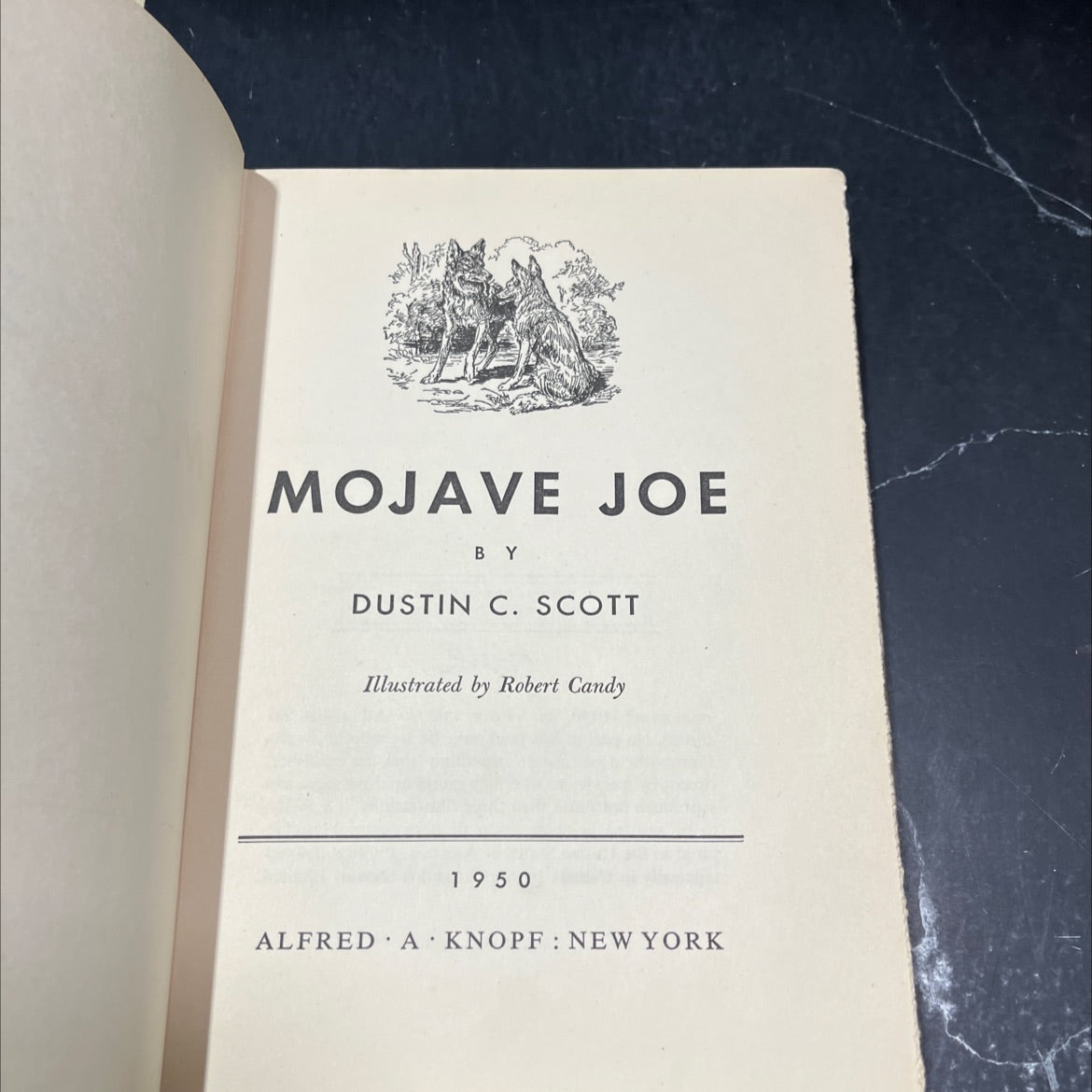 mojave joe book, by dustin c. scott, 1950 Hardcover, First Edition, Rare, Vintage image 2