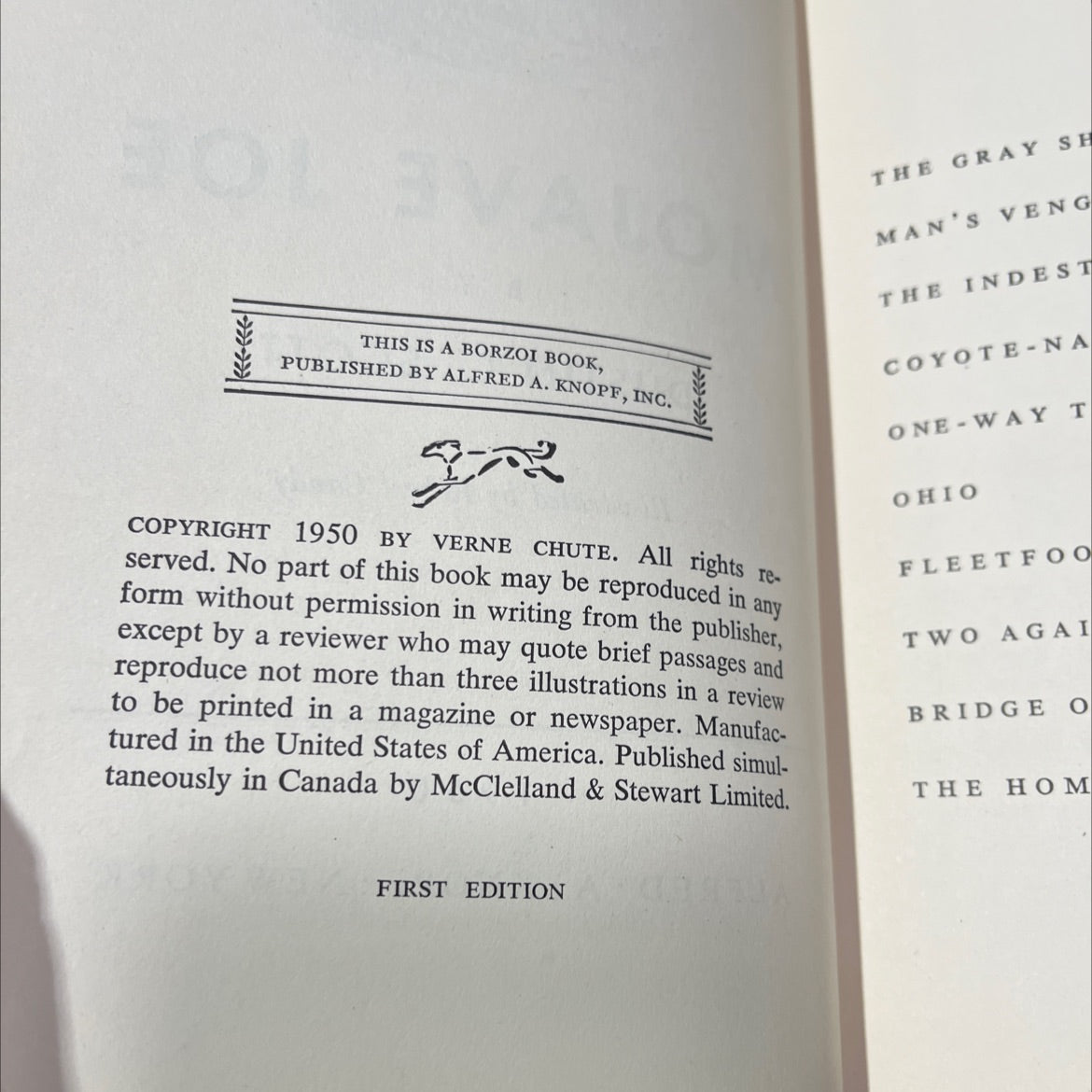 mojave joe book, by dustin c. scott, 1950 Hardcover, First Edition, Rare, Vintage image 3
