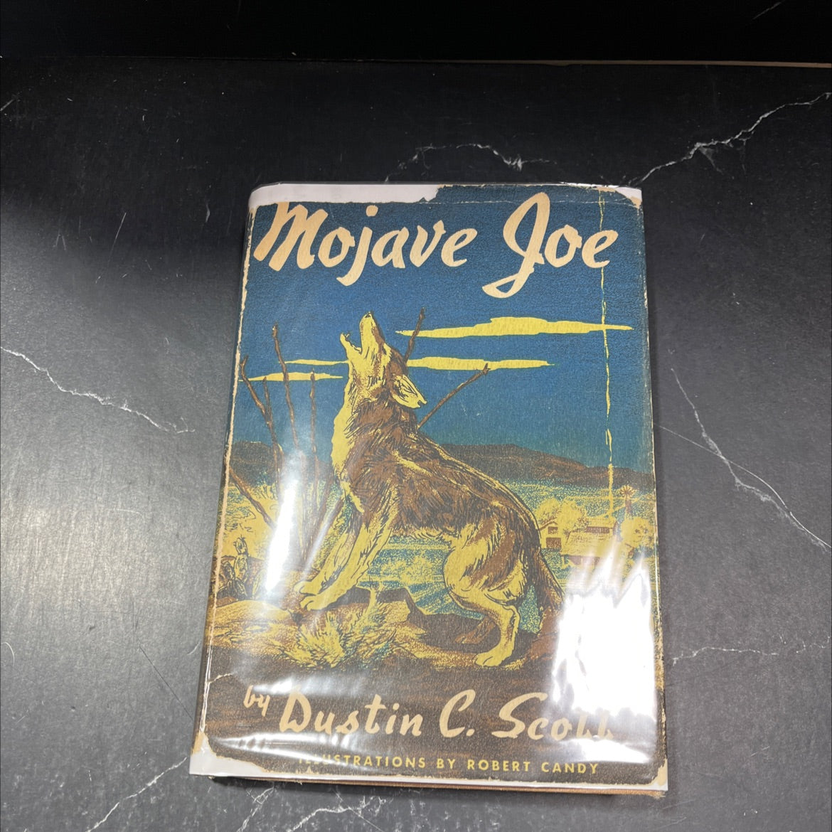 mojave joe book, by dustin c. scott, 1950 Hardcover, First Edition, Rare, Vintage image 1