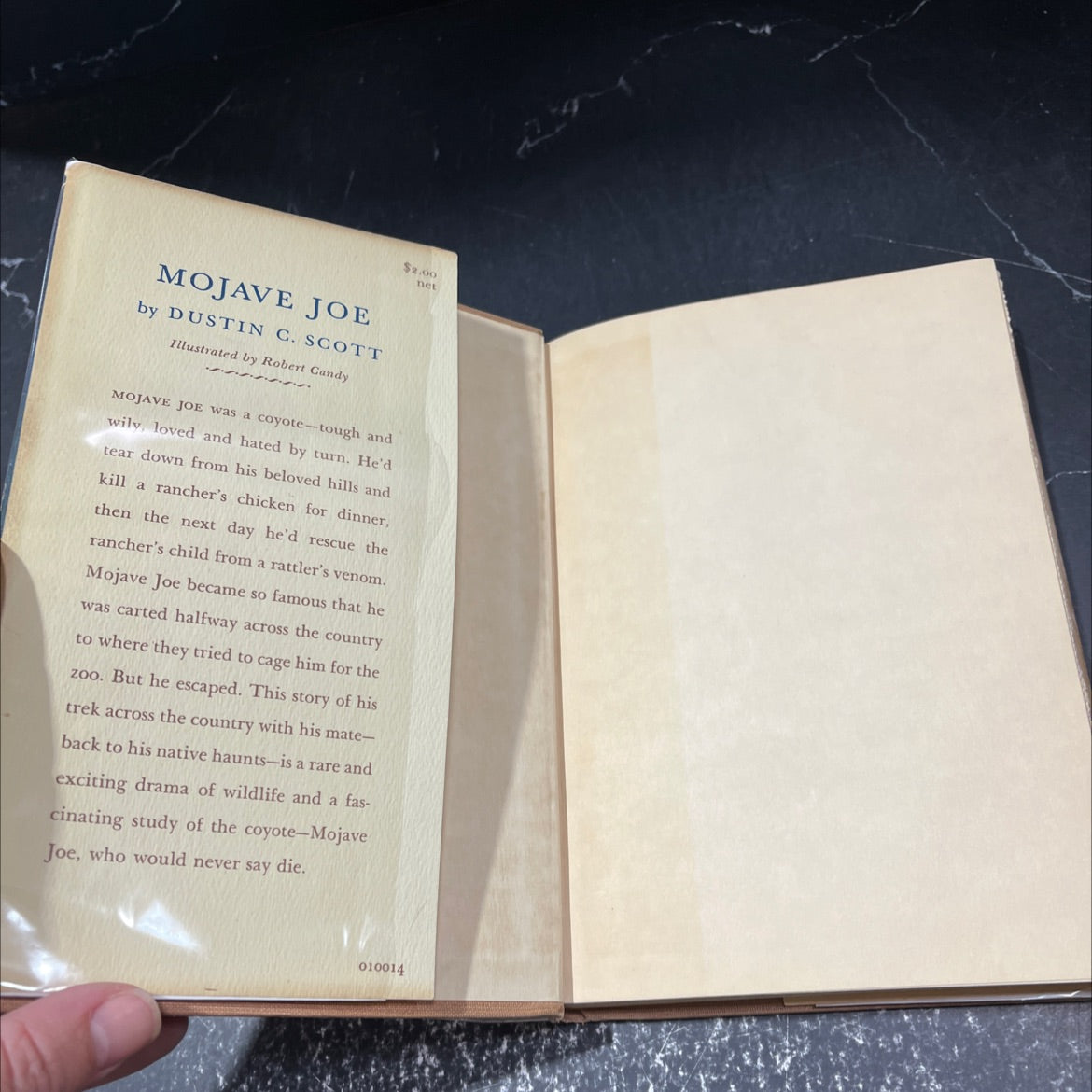 mojave joe book, by dustin c. scott, 1950 Hardcover, First Edition, Rare, Vintage image 4