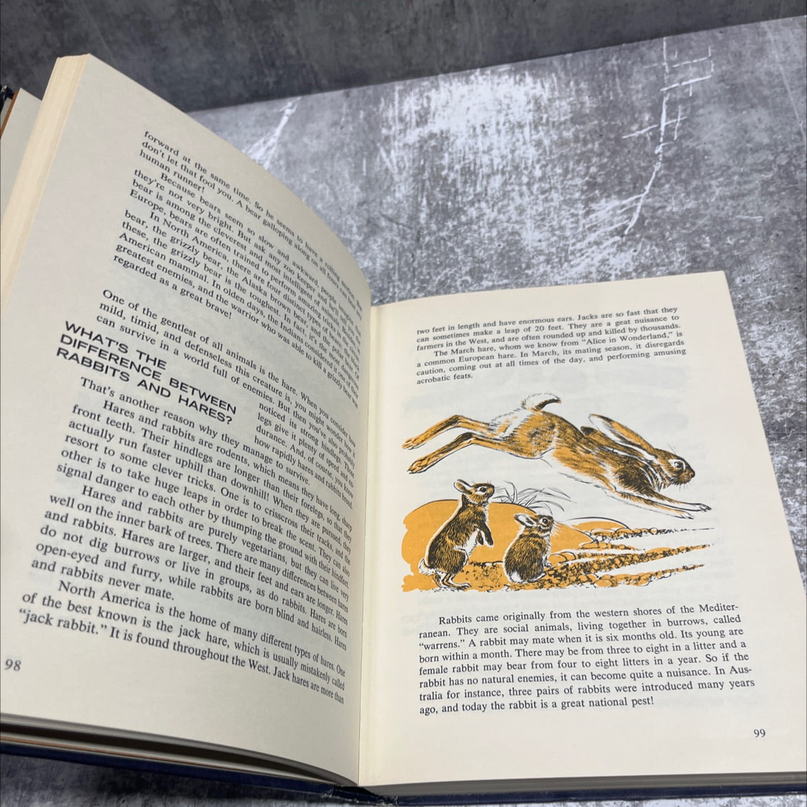 more tell me why book, by arkady leokum, 1968 Hardcover image 4