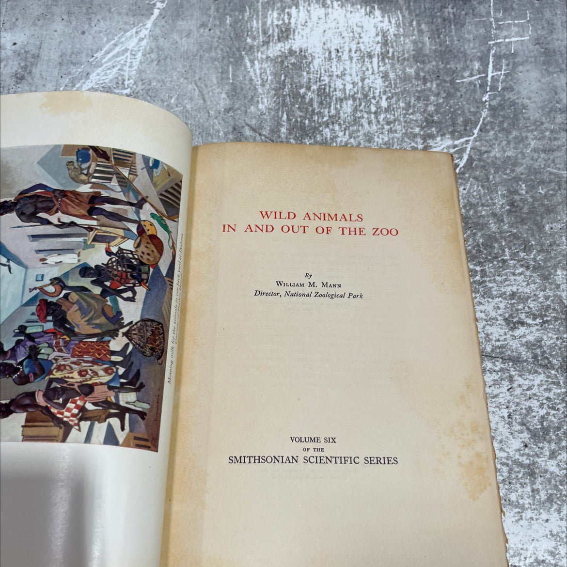 morning milk wild animals in and out of the zoo book, by william m. mann, 1934 Hardcover image 2