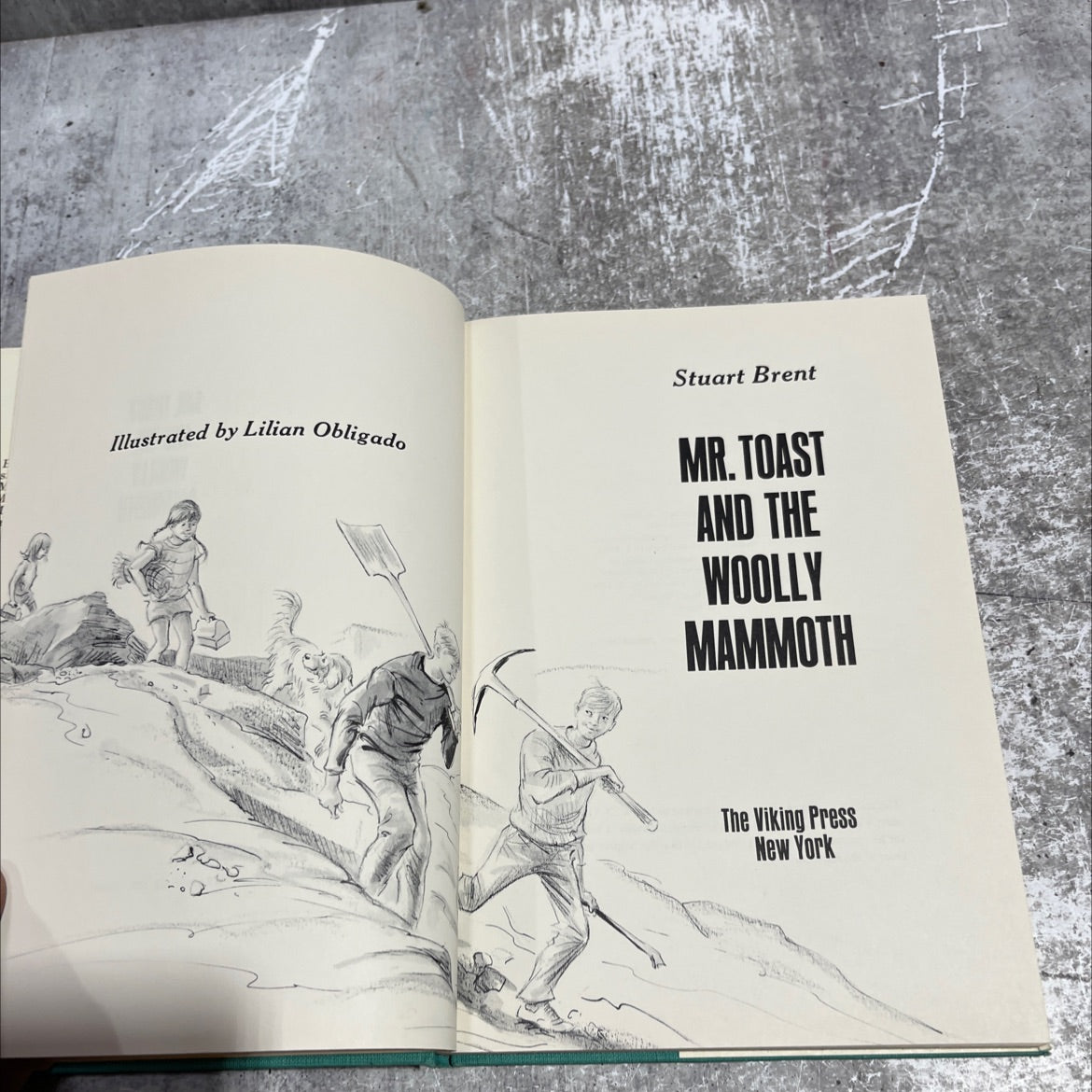 SIGNED mr. toast and the woolly mammoth book, by Stuart Brent, 1966 Hardcover, Vintage image 2