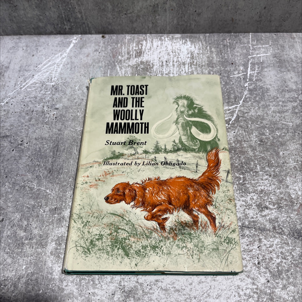 SIGNED mr. toast and the woolly mammoth book, by Stuart Brent, 1966 Hardcover, Vintage image 1
