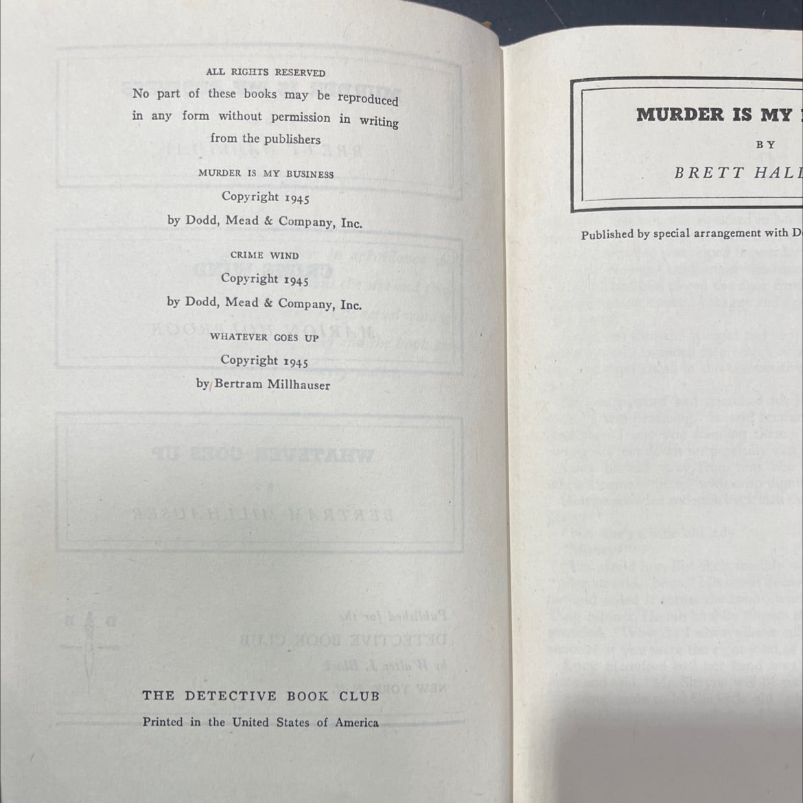 murder is my business book, by brett halliday, 2001 Hardcover image 3