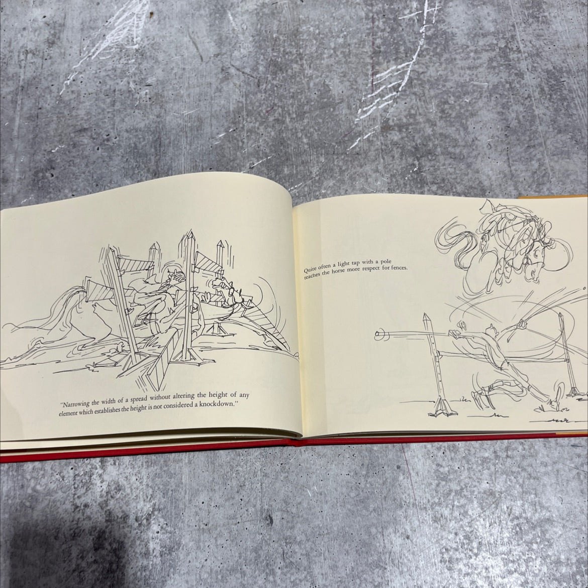 mutch about horses book, by ronnie mutch, 1978 Hardcover image 4
