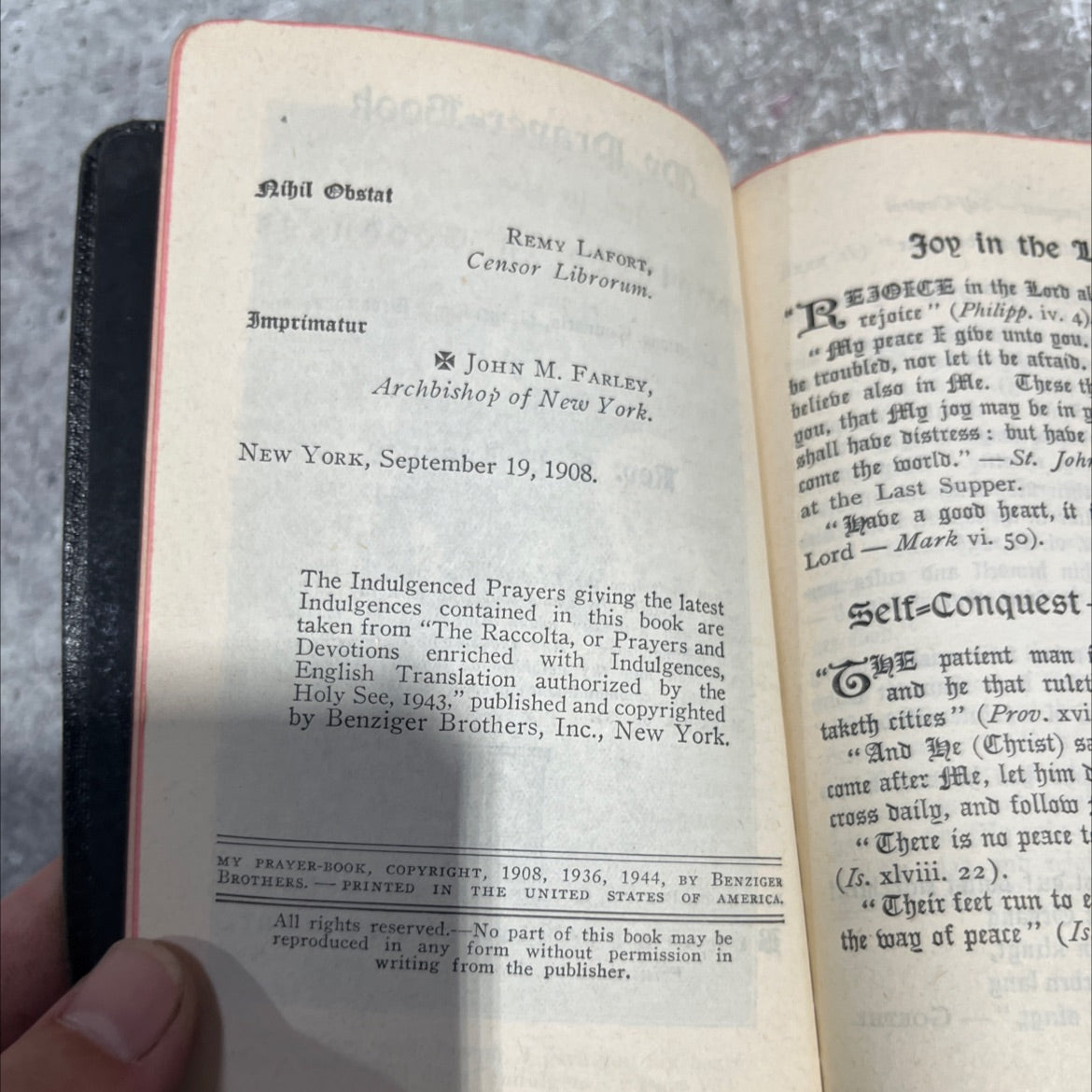 my heart pius vii. my prayer-book happiness in goodness reflections, counsels, prayers, and devotions book, by Rev. F. image 3