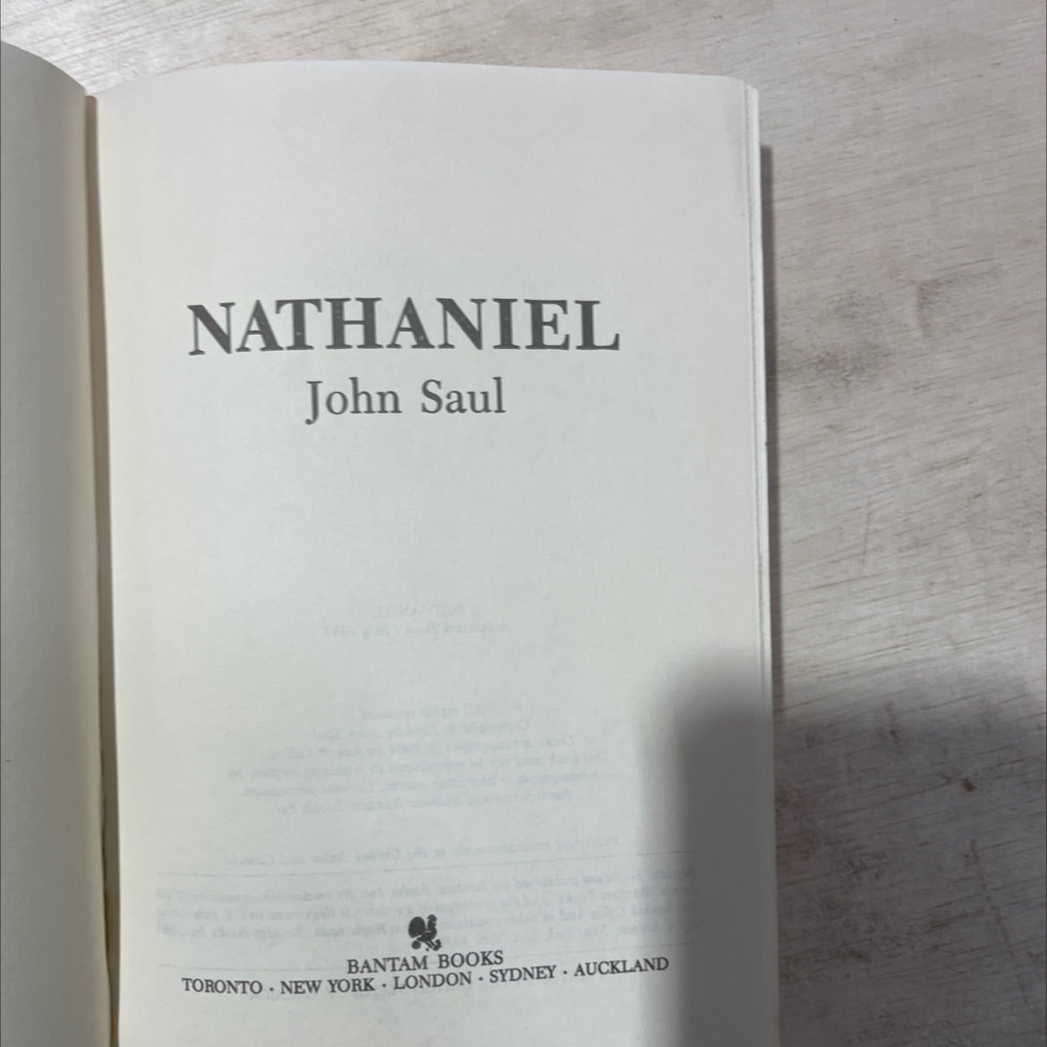 nathaniel book, by John Saul, 1984 Hardcover, Vintage image 2
