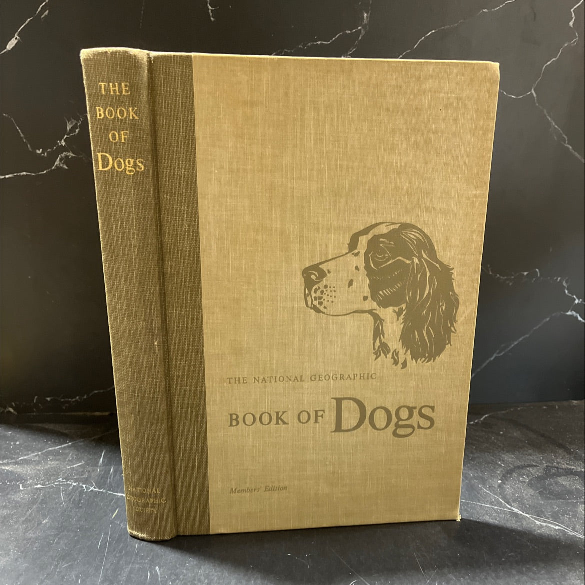 national geographic book of dogs book, by merle severy, arthur frederick jones, 1958 Hardcover image 1