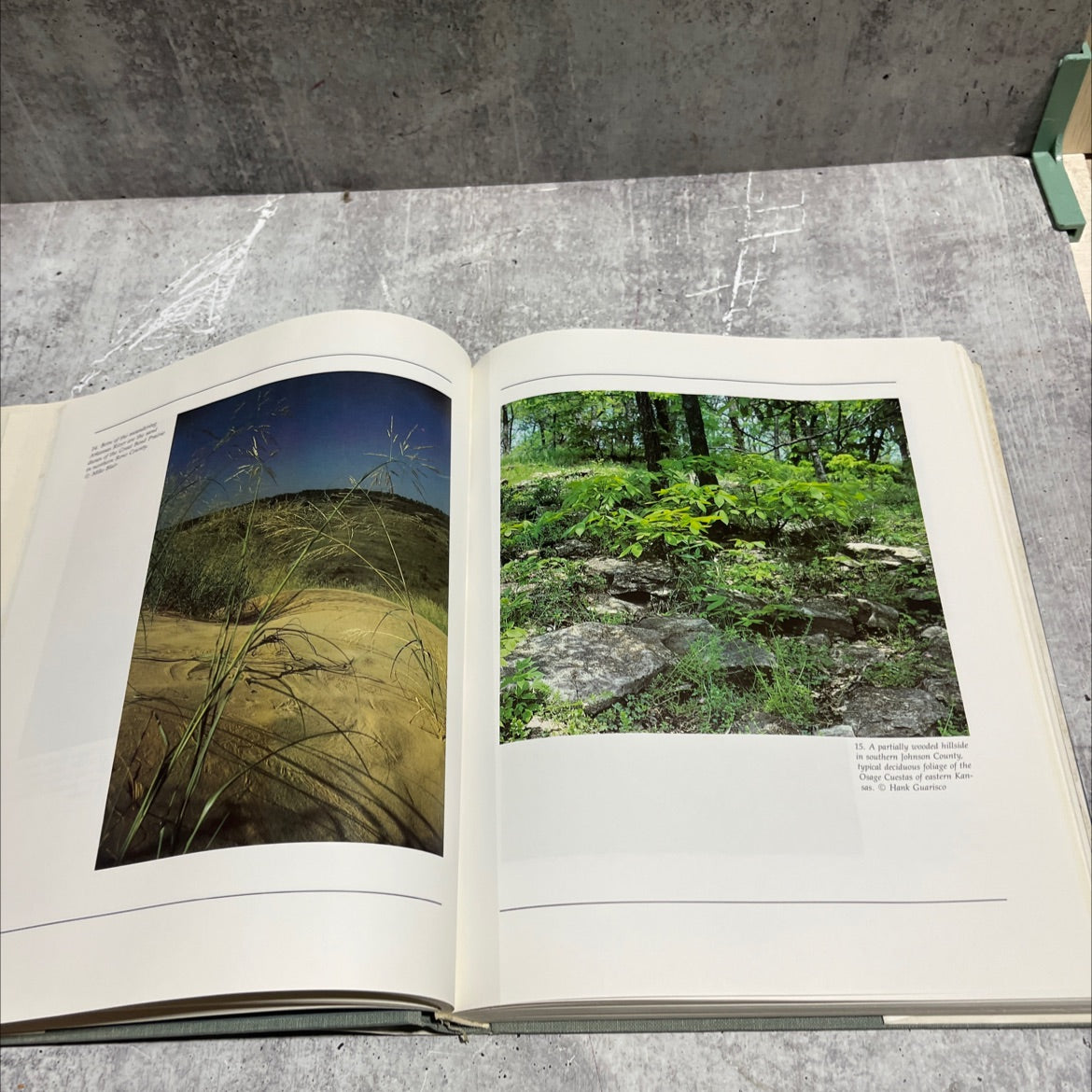 natural kansas book, by Joseph T. Collins, 1985 Hardcover image 4