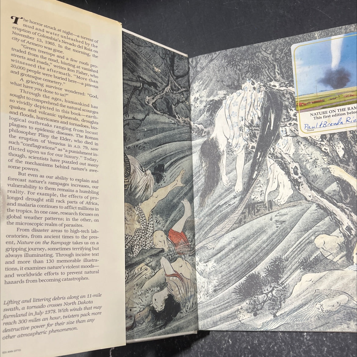 nature on the rampage our violent earth book, by National Geographic Society, 1986 Hardcover image 4