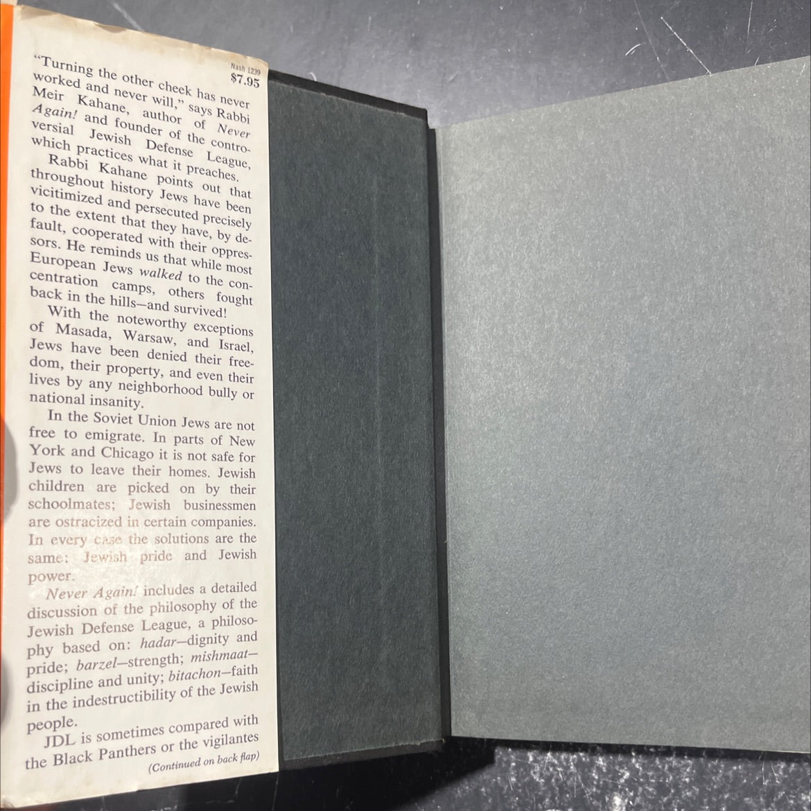 never again! a program for survival book, by meir kahane, 1971 Hardcover image 4