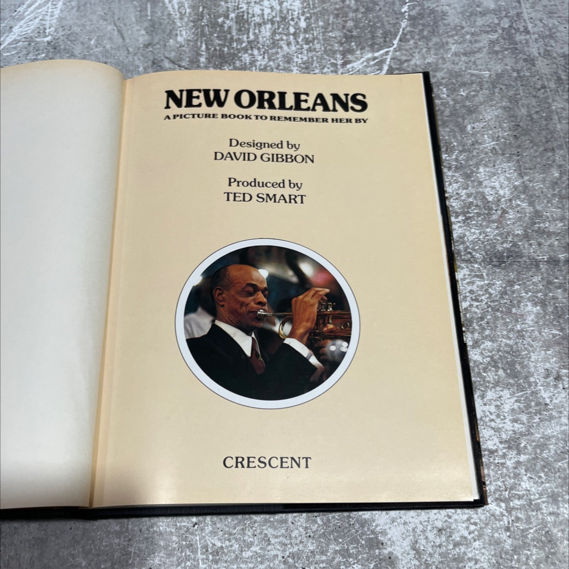 new orleans a picture book to remember her by book, by unknown, 1990 Hardcover image 2